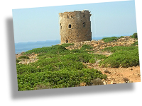 Torre spagnola a cala domestica