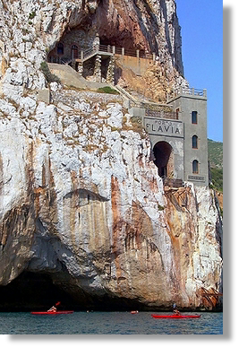 Masua nebida Porto flavia